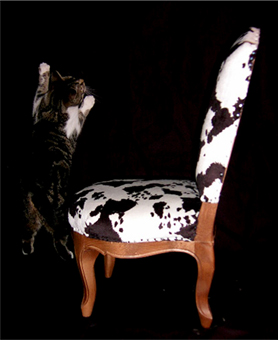 chaise raquette
